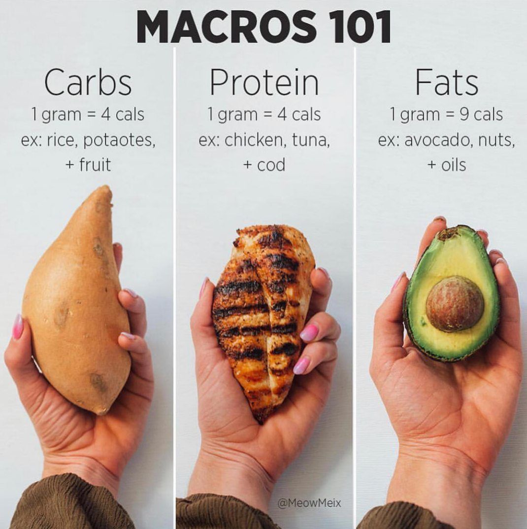 Macro & Nutrition Guidelines